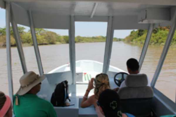 Palo Verde and Coffee Tour