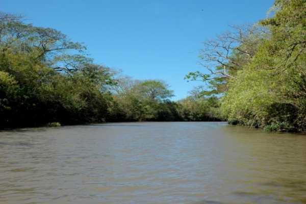 Palo Verde and Coffee Tour