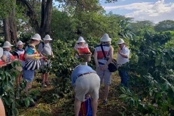 Palo Verde and Coffee Tour