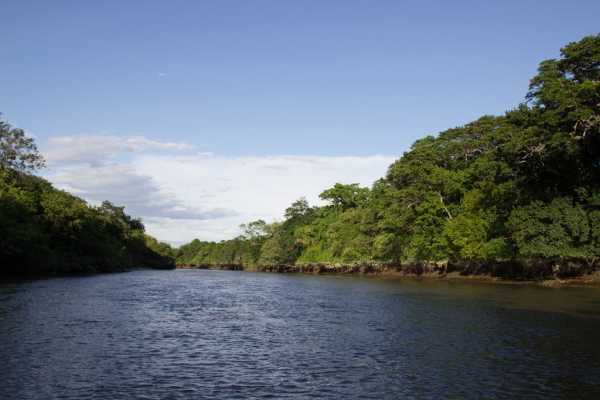 Palo Verde and Coffee Tour