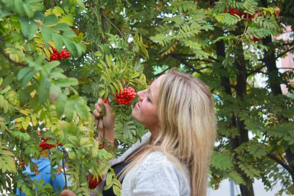 Palo Verde and Coffee Tour