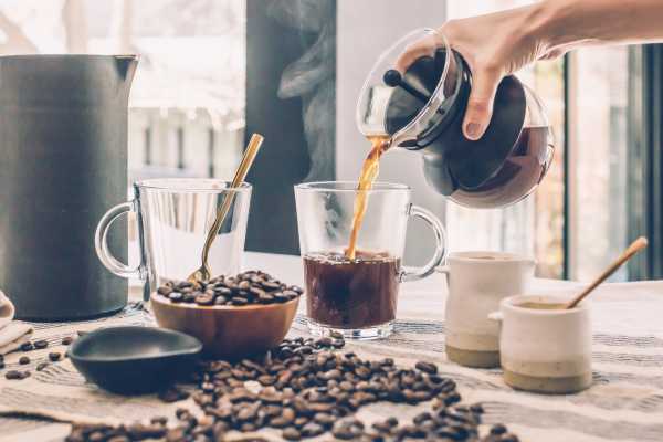 Palo Verde and Coffee Tour