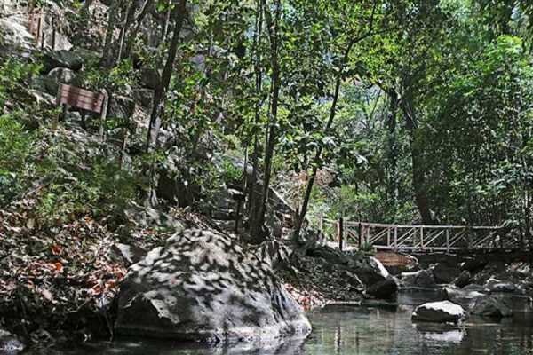 R&iacute;o Perdido Canopy and Hot Springs