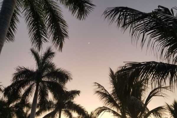 RIU Guanacaste Hotel Overnight