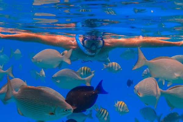 Snorkeling Equipment Rental