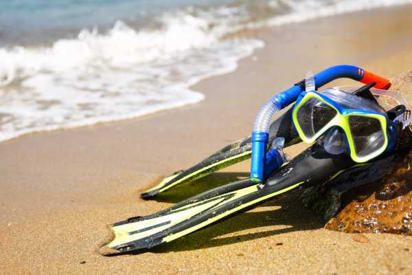 Snorkeling Equipment Rental