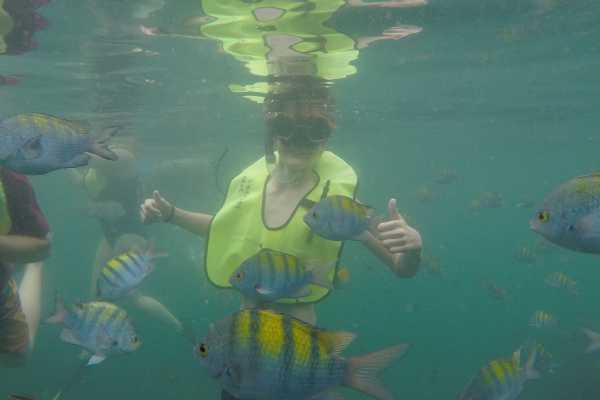 Snorkeling Equipment Rental