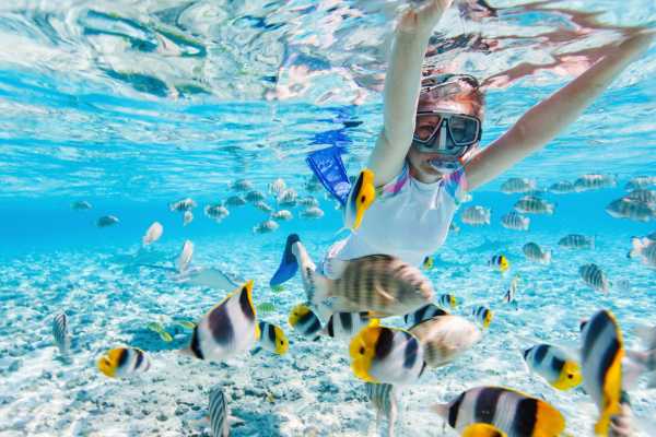 Snorkeling Equipment Rental