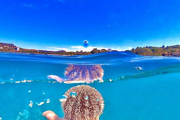 Snorkeling Equipment Rental