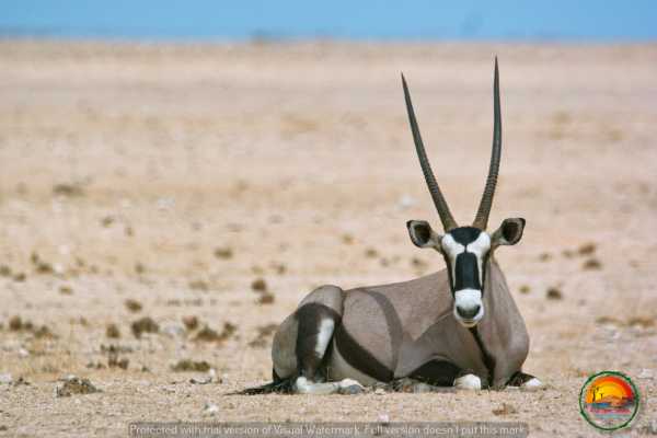 Wildlife & Landscape Photography Tour