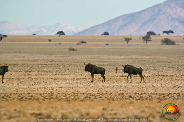 Wildlife & Landscape Photography Tour