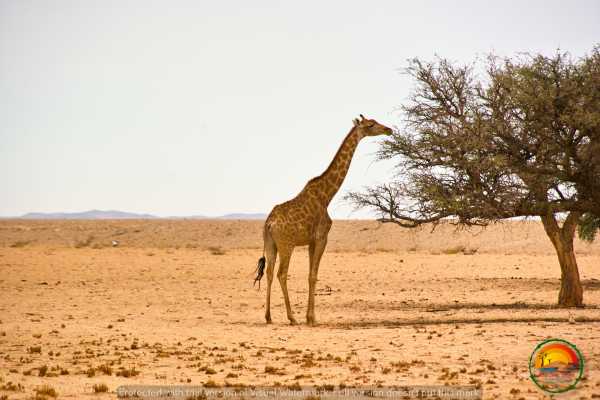 Wildlife & Landscape Photography Tour