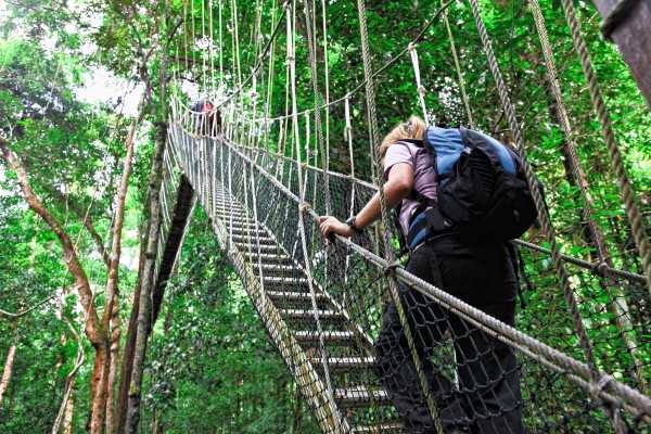Canopy Zip-Line Tour Los Sue&ntilde;os
