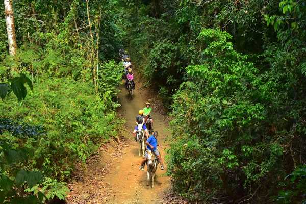 Horseback Riding Tour Los Sue&ntilde;os