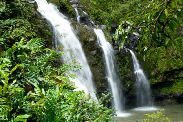 Horseback Riding Tour Los Sue&ntilde;os