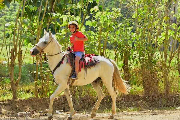 Horseback Riding Tour Los Sue&ntilde;os