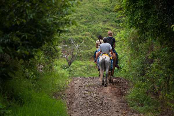 Horseback Riding Tour Los Sue&ntilde;os