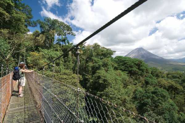 Overnight Monteverde Forest