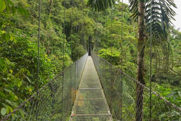 Overnight Monteverde Forest