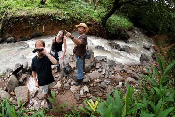 Overnight Monteverde Forest