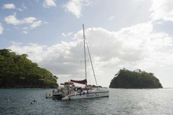 Marlin Del Rey Catamaran Tour
