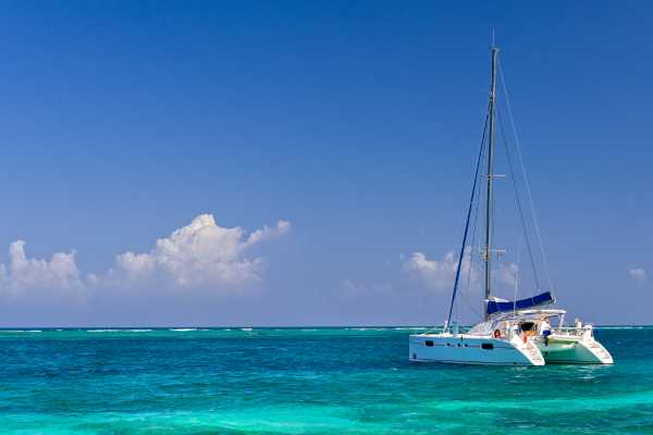 Marlin Del Rey Catamaran Tour