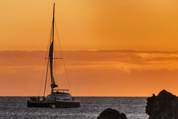 Marlin Del Rey Catamaran Tour