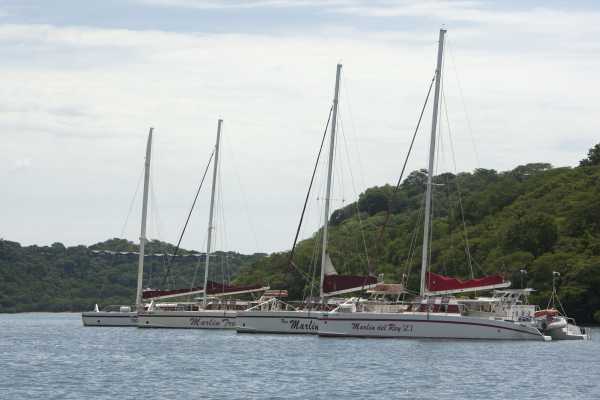 Marlin Del Rey Catamaran Tour