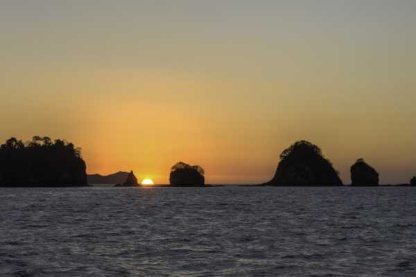 Marlin Del Rey Catamaran Tour