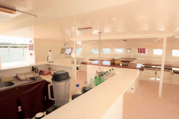 Marlin Del Rey Catamaran Tour