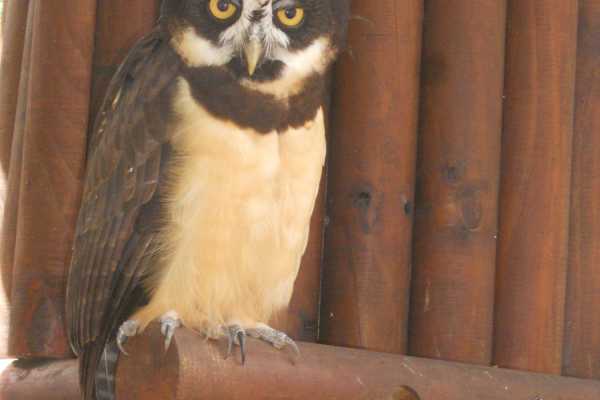 Monkey Park&nbsp;Foundation Tour