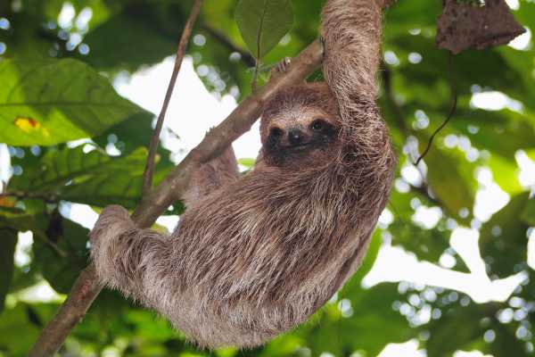 Monkey Park&nbsp;Foundation Tour