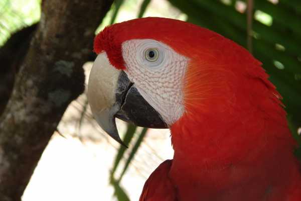 Monkey Park&nbsp;Foundation Tour