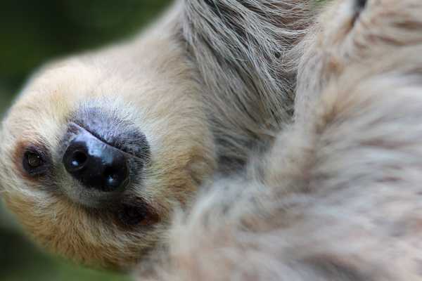 Monkey Park&nbsp;Foundation Tour