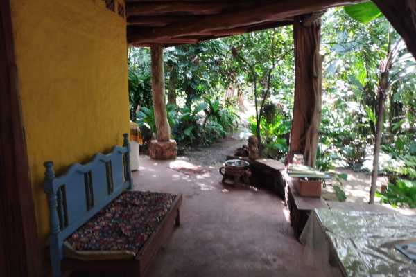Costa Rica Blue Zone Tour