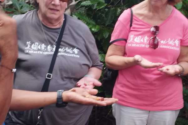 Costa Rica Blue Zone Tour