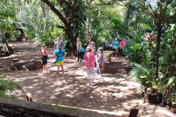Costa Rica Blue Zone Tour