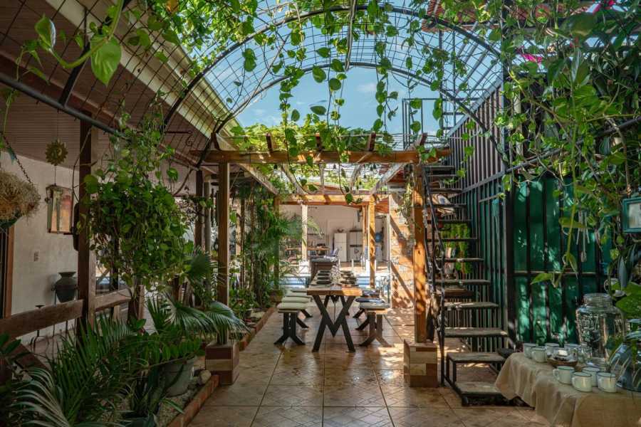 Tour Guanacaste Costa Rica Blue Zone Tour