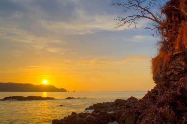 Paradise Flamingo Beach