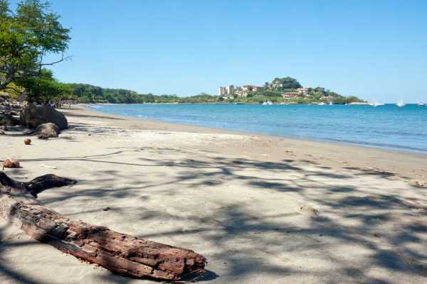 Paradise Flamingo Beach