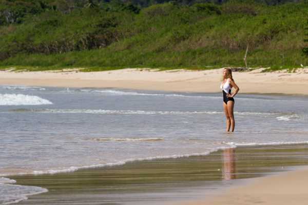 Paradise Flamingo Beach