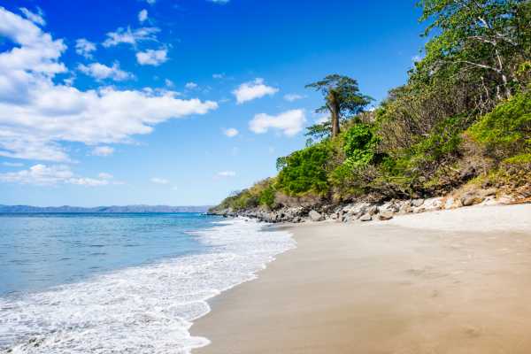 Paradise Flamingo Beach