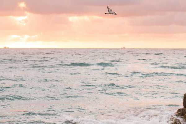 Diria Hotel Tamarindo