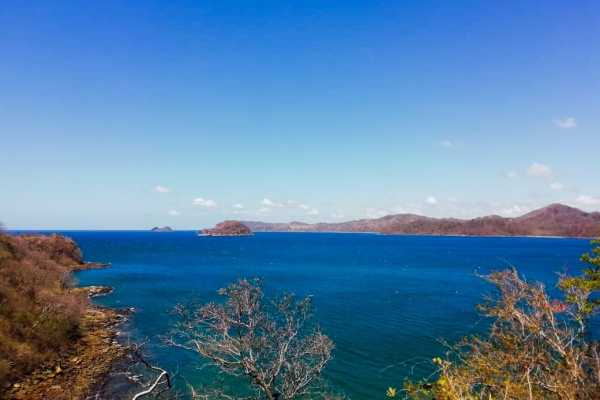 Boat Safari and Nature Walk Tour