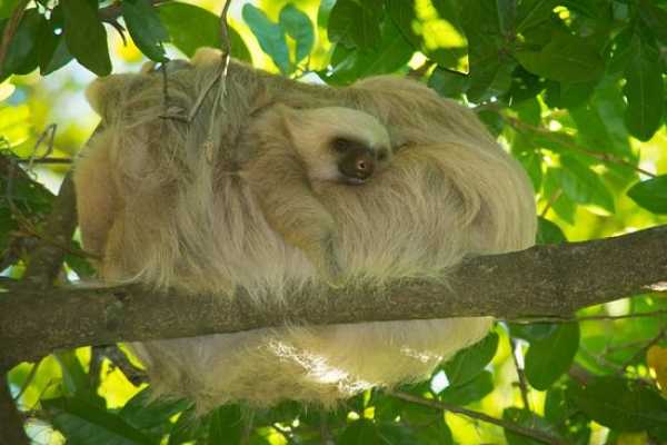 Boat Safari and Nature Walk Tour