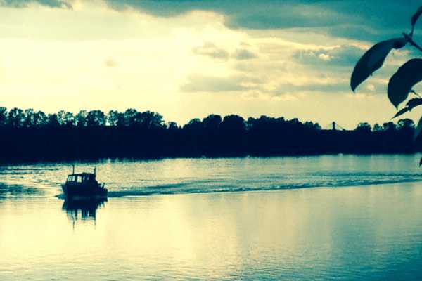 Boat Safari and Nature Walk Tour