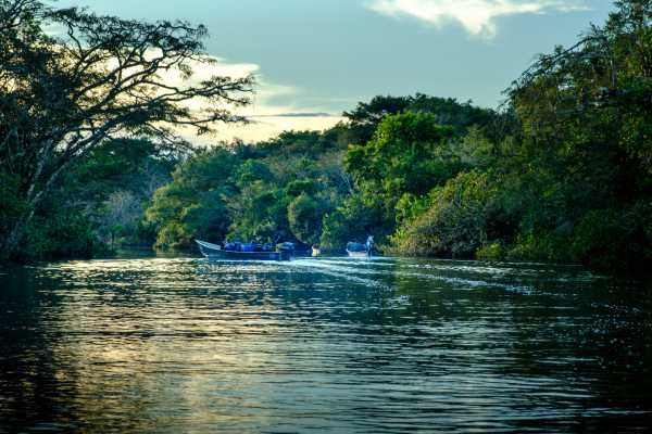 Boat Safari and Nature Walk Tour