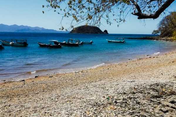 Sport Fishing at Dreams Las Mareas