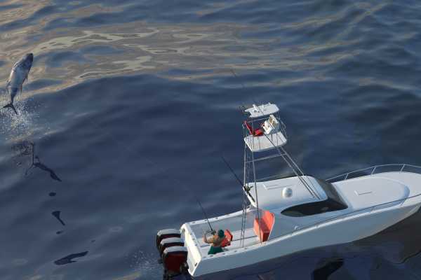 Sport Fishing at Dreams Las Mareas