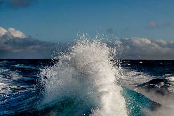 Sport Fishing at Dreams Las Mareas